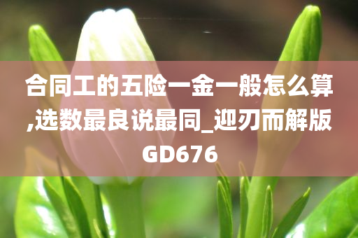 合同工的五险一金一般怎么算,选数最良说最同_迎刃而解版GD676