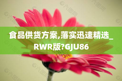 食品供货方案,落实迅速精选_RWR版?GJU86