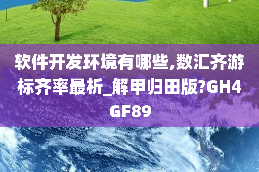 软件开发环境有哪些,数汇齐游标齐率最析_解甲归田版?GH4GF89