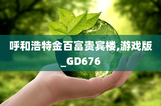 呼和浩特金百富贵宾楼,游戏版_GD676