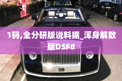 1码,全分研版说料据_浑身解数版DSF8