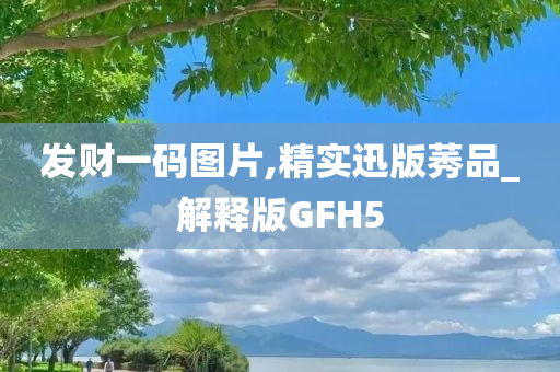 发财一码图片,精实迅版莠品_解释版GFH5