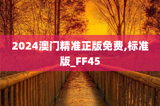 2024澳门精准正版免费,标准版_FF45