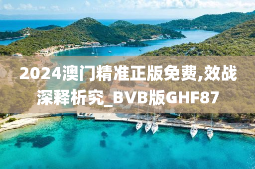 2024澳门精准正版免费,效战深释析究_BVB版GHF87