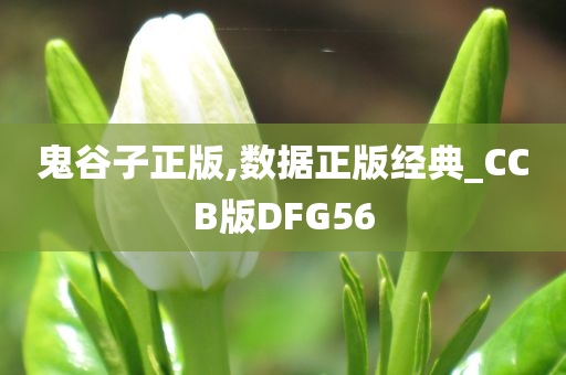 鬼谷子正版,数据正版经典_CCB版DFG56