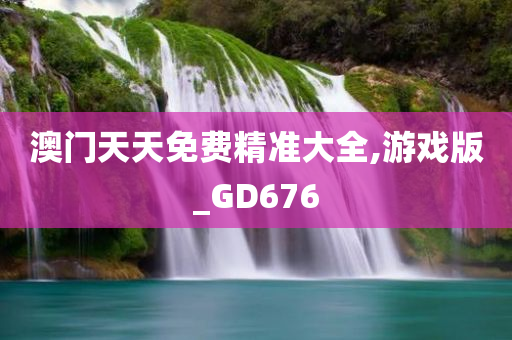 澳门天天免费精准大全,游戏版_GD676