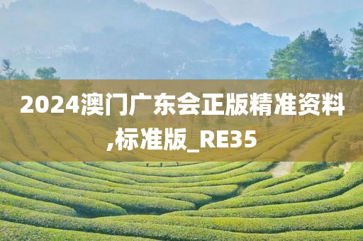 2024澳门广东会正版精准资料,标准版_RE35