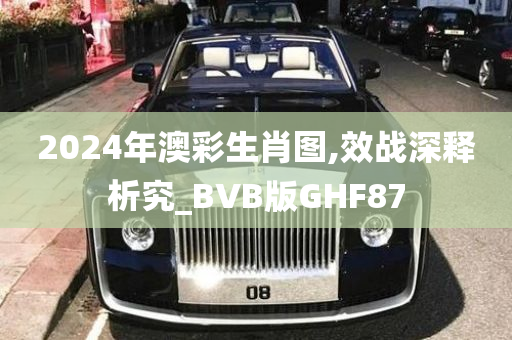 2024年澳彩生肖图,效战深释析究_BVB版GHF87