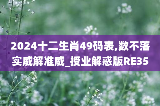 2024十二生肖49码表,数不落实威解准威_授业解惑版RE35