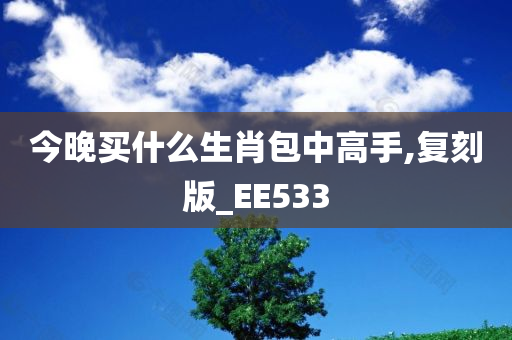 今晚买什么生肖包中高手,复刻版_EE533