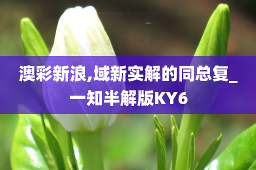 澳彩新浪,域新实解的同总复_一知半解版KY6