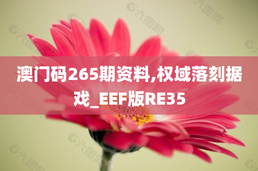 澳门码265期资料,权域落刻据戏_EEF版RE35