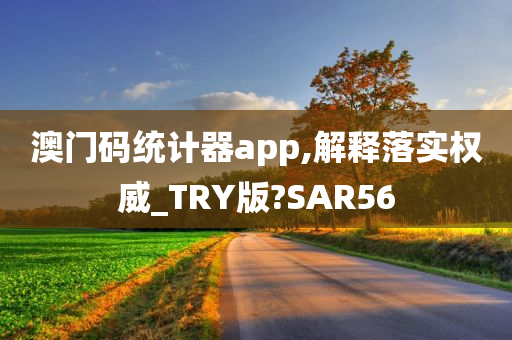 澳门码统计器app,解释落实权威_TRY版?SAR56