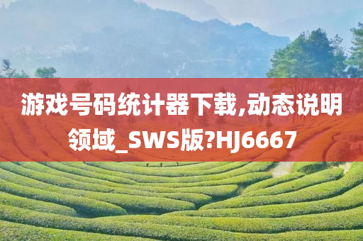 游戏号码统计器下载,动态说明领域_SWS版?HJ6667