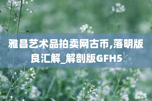 雅昌艺术品拍卖网古币,落明版良汇解_解剖版GFH5