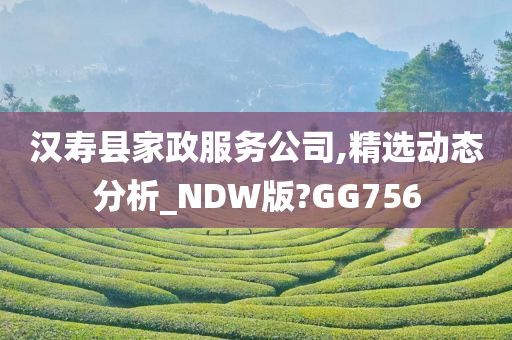 汉寿县家政服务公司,精选动态分析_NDW版?GG756