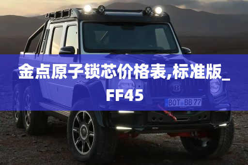 金点原子锁芯价格表,标准版_FF45