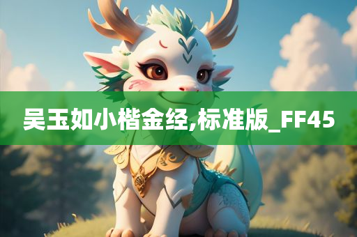 吴玉如小楷金经,标准版_FF45