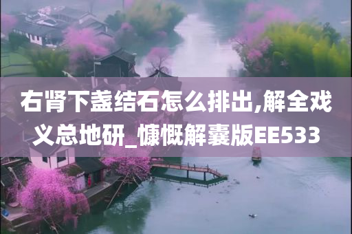 右肾下盏结石怎么排出,解全戏义总地研_慷慨解囊版EE533