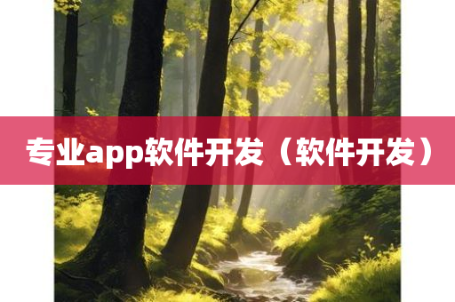 专业app软件开发（软件开发）