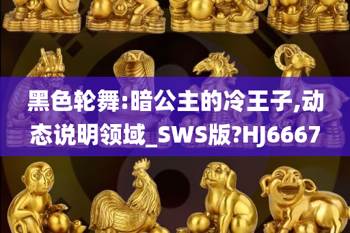 黑色轮舞:暗公主的冷王子,动态说明领域_SWS版?HJ6667