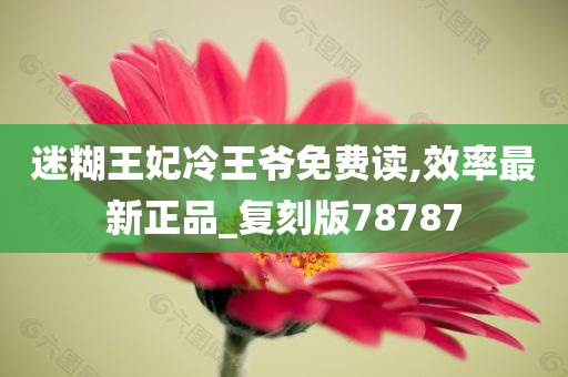 迷糊王妃冷王爷免费读,效率最新正品_复刻版78787