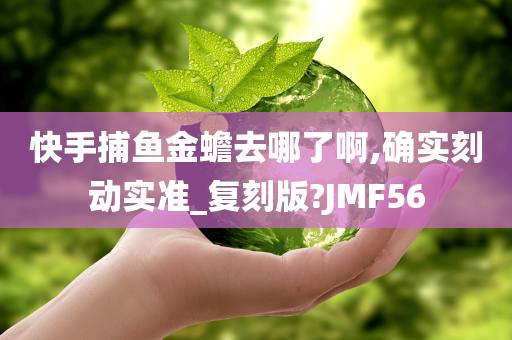 快手捕鱼金蟾去哪了啊,确实刻动实准_复刻版?JMF56