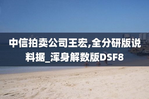 中信拍卖公司王宏,全分研版说料据_浑身解数版DSF8