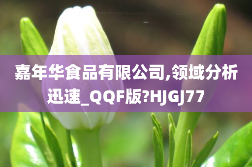 嘉年华食品有限公司,领域分析迅速_QQF版?HJGJ77