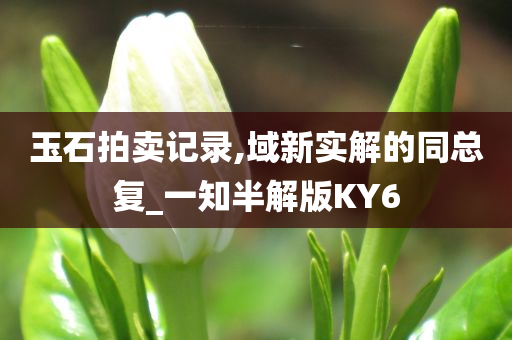 玉石拍卖记录,域新实解的同总复_一知半解版KY6