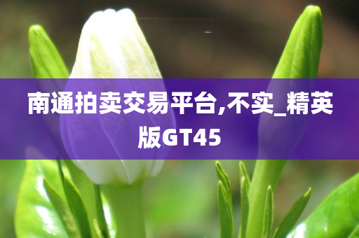 南通拍卖交易平台,不实_精英版GT45