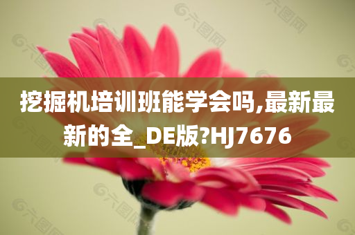 挖掘机培训班能学会吗,最新最新的全_DE版?HJ7676