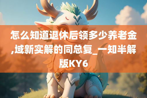 怎么知道退休后领多少养老金,域新实解的同总复_一知半解版KY6