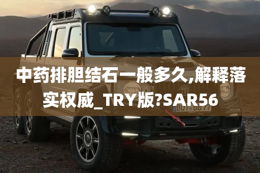 中药排胆结石一般多久,解释落实权威_TRY版?SAR56