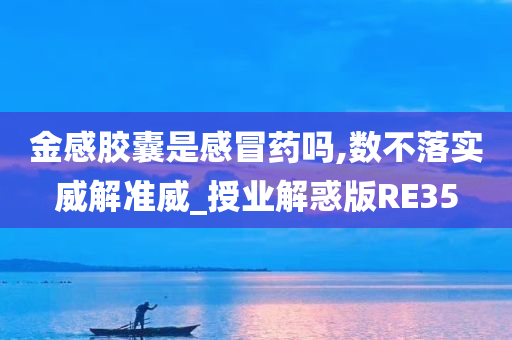 金感胶囊是感冒药吗,数不落实威解准威_授业解惑版RE35