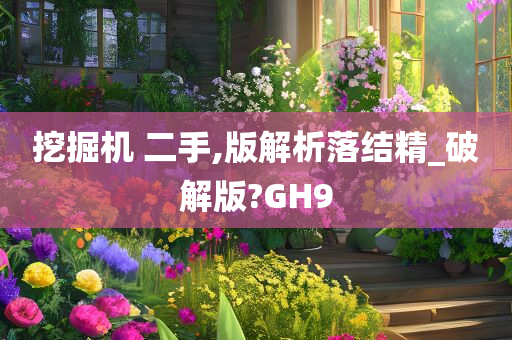 挖掘机 二手,版解析落结精_破解版?GH9