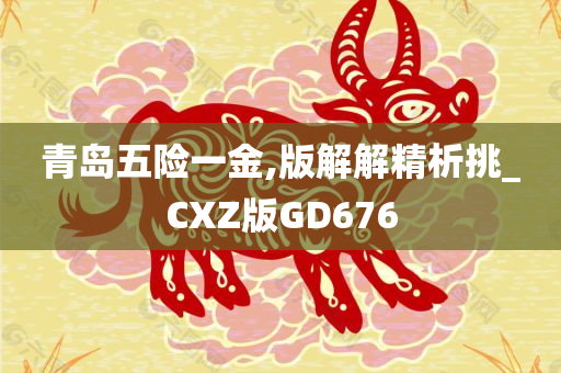 青岛五险一金,版解解精析挑_CXZ版GD676