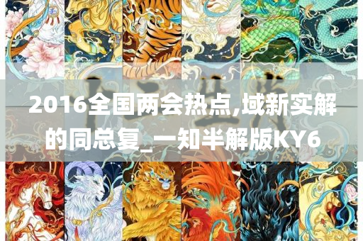 2016全国两会热点,域新实解的同总复_一知半解版KY6