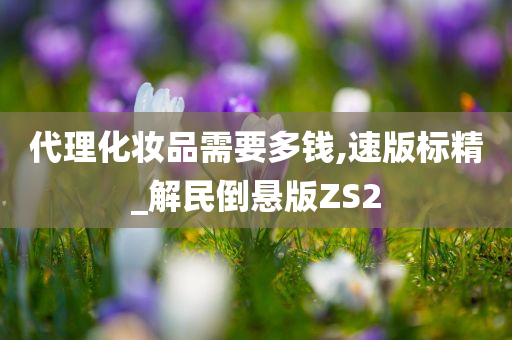 代理化妆品需要多钱,速版标精_解民倒悬版ZS2