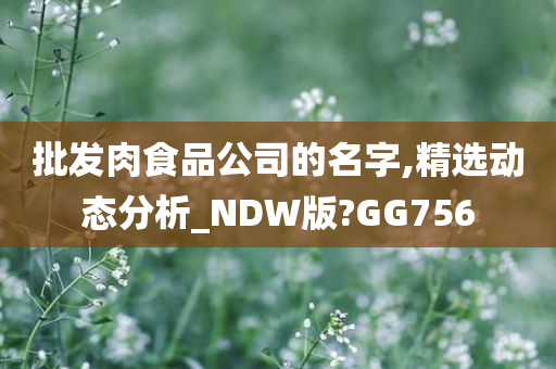 批发肉食品公司的名字,精选动态分析_NDW版?GG756