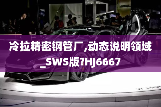 冷拉精密钢管厂,动态说明领域_SWS版?HJ6667