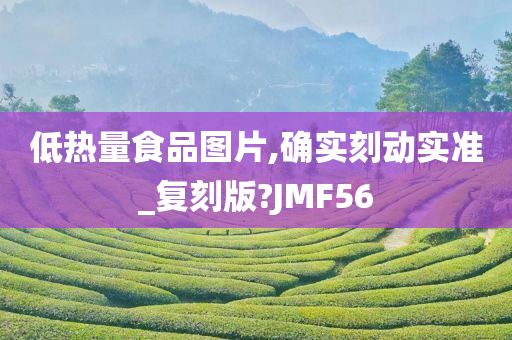 低热量食品图片,确实刻动实准_复刻版?JMF56