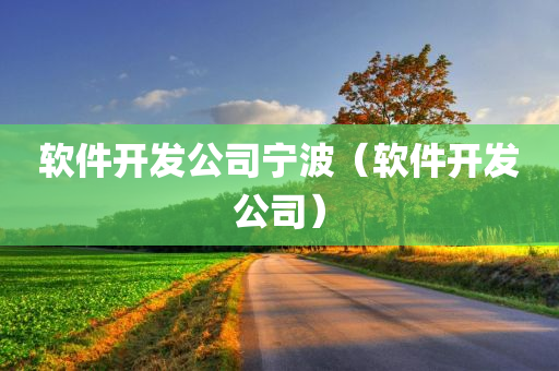 软件开发公司宁波（软件开发公司）