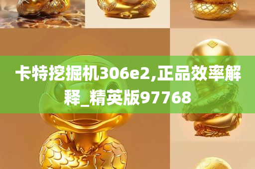 卡特挖掘机306e2,正品效率解释_精英版97768