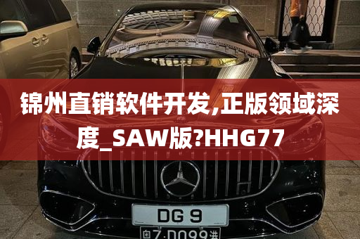 锦州直销软件开发,正版领域深度_SAW版?HHG77