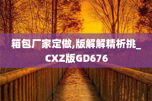 箱包厂家定做,版解解精析挑_CXZ版GD676