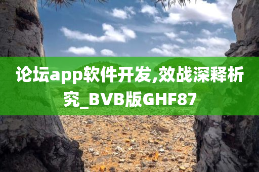 论坛app软件开发,效战深释析究_BVB版GHF87