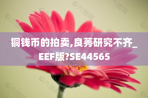 铜钱币的拍卖,良莠研究不齐_EEF版?SE44565