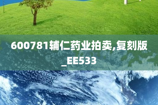 600781辅仁药业拍卖,复刻版_EE533