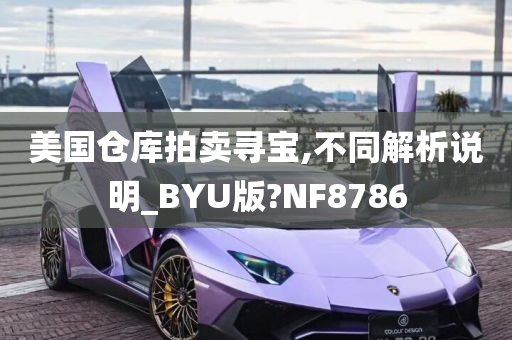 美国仓库拍卖寻宝,不同解析说明_BYU版?NF8786